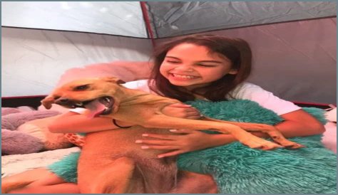 Ariana Greenblatt Pets - Celebrity Pets