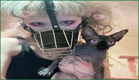 Jazmin Bean Pets - Celebrity Pets