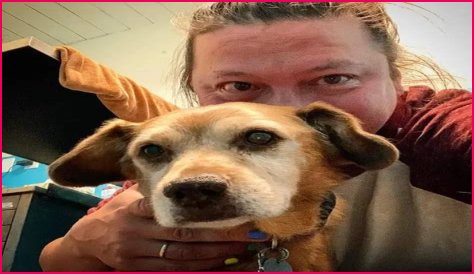 Kenji López-Alt Pets - Celebrity Pets