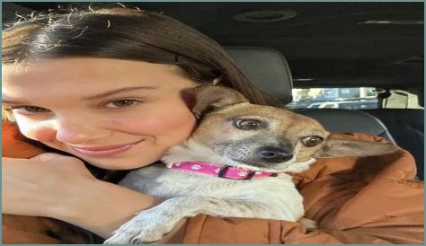 Millie Bobby Brown Pets - Celebrity Pets