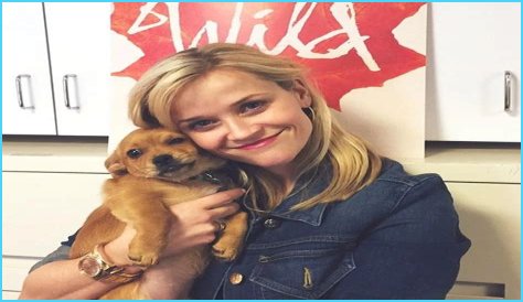 Reese Witherspoon Pets - Celebrity Pets
