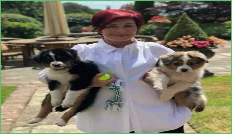 Sharon Osbourne Pets - Celebrity Pets