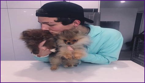 Tayler Holder Pets - Celebrity Pets