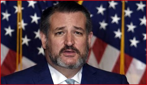 Ted Cruz Net Worth